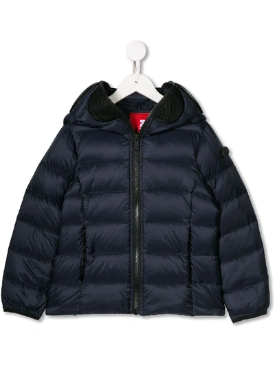 Ai Riders On The Storm Kids' Padded Hooded Jacket In Blue