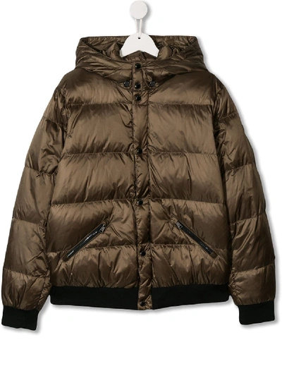 Emporio Armani Kids' Hooded Padded Jacket In Brown