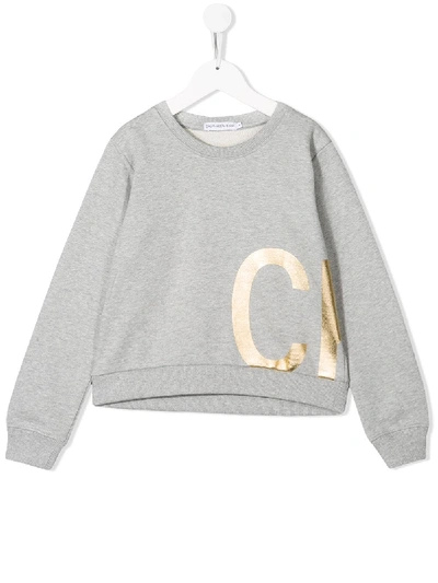 Calvin Klein Printed Logo Sweatshirt In Grey