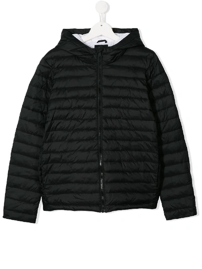 Emporio Armani Kids' Hooded Padded Jacket In Black