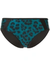 Duskii Océane Brief Bottoms In Blue