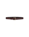 Campomaggi Belts In Brown