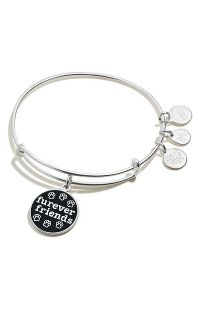 Alex And Ani Color Infusion Furever Friend Adjustable Wire Bangle In Shiny Silver