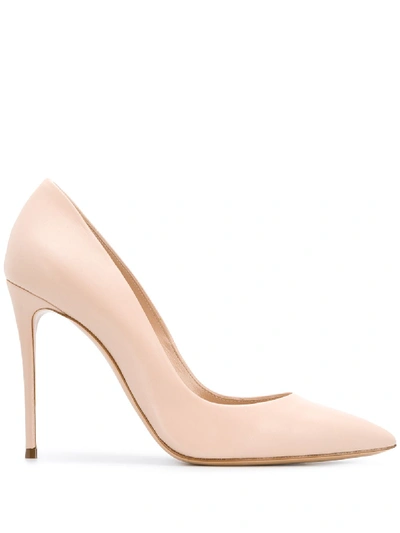 Casadei Pointed Toe Pumps In Neutrals