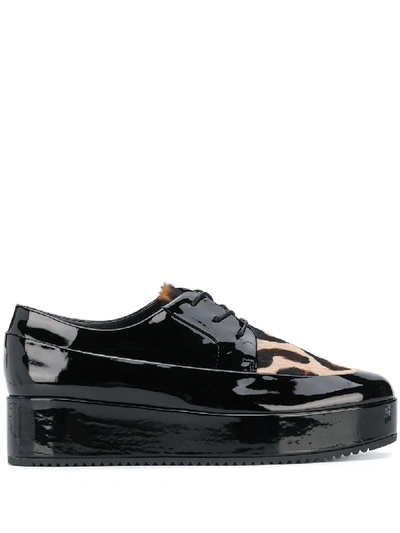 Hogl Mody Platform Lace-up Shoes In Black