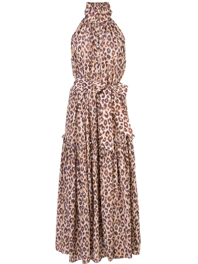 Zimmermann Swing Leopard Print Dress In Brown