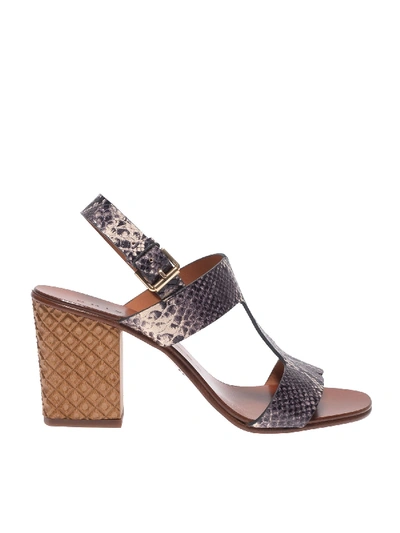 Chie Mihara Hein Python Print Leather Sandals In Animal Print