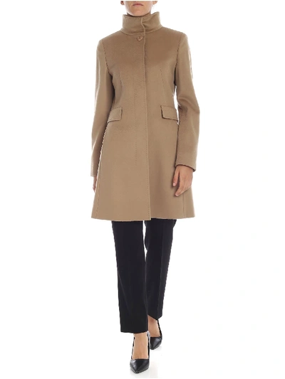 Max Mara Agnese Coat In Sand-color In Beige