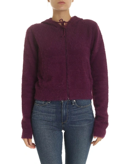 Pinko Haflinger Sweatshirt In Purple