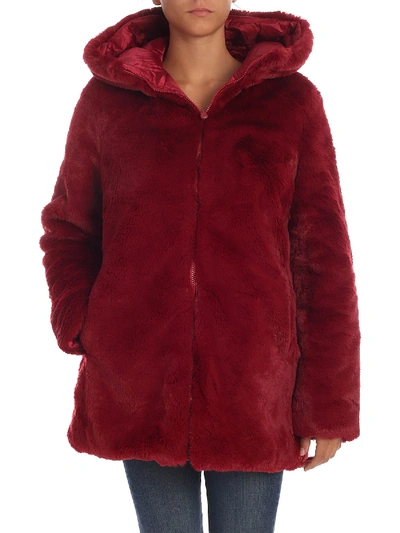 Save The Duck Burgundy Eco-fur With Hood In Red