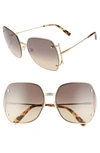 FERRAGAMO GANCIO 62MM GRADIENT SQUARE SUNGLASSES,SF202SL