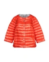 Herno Down Jacket In Orange