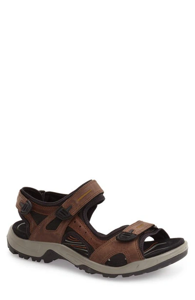 Ecco Men's Offroad Yucatan Sandal In Espresso/ Cocoa Brown/ Black In Espresso Leather