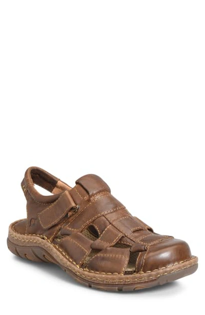 Born Cabot Iii Sandal In Brown Leather