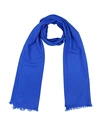 Cruciani Scarves In Bright Blue