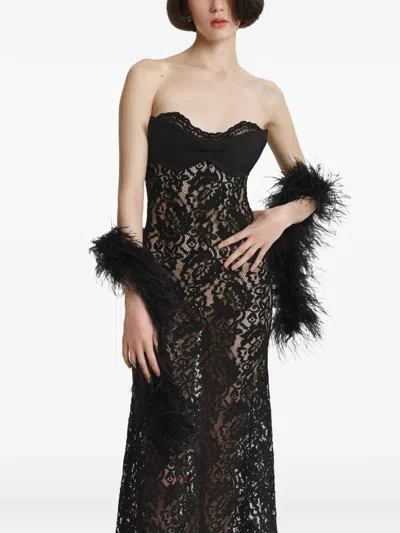 2310 Studio Feather-trim Scarf In Orange