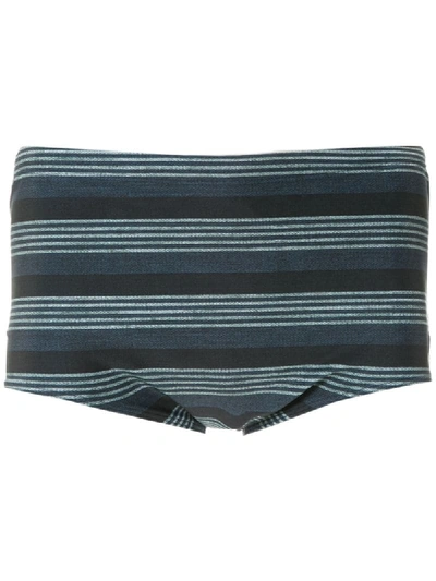 Track & Field Tf Power Striped Trunks In Blue