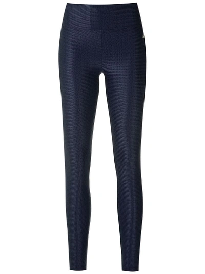 Track & Field Lycra Leggings In Blue