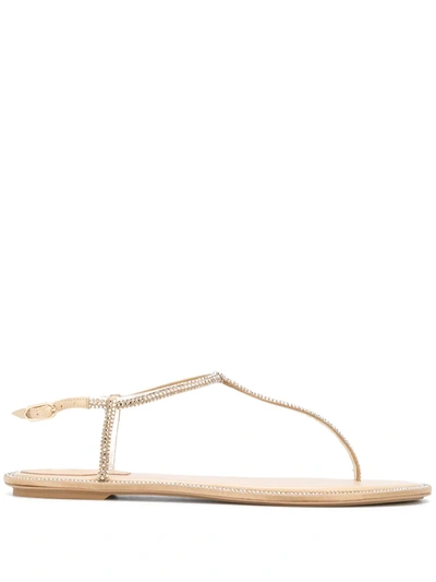 René Caovilla Diana Crystal-embellished Flat Sandals In Beige