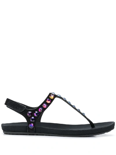 Pedro Garcia Judith Sandals In Black