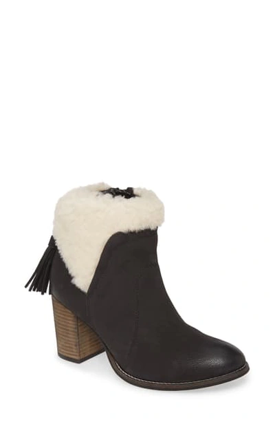 Band Of Gypsies Helena Genuine Shearling Cuff Bootie In Black Nubuck Leather