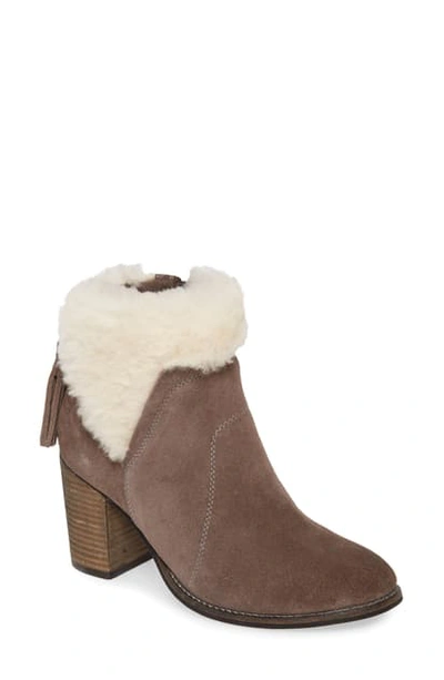 Band Of Gypsies Helena Genuine Shearling Cuff Bootie In Grey Suede