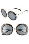 Ferragamo Round Acetate Sunglasses In Havana Vintage