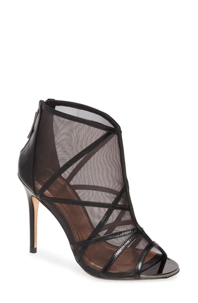 Ted Baker Taminaa Mesh Bootie In Black Leather/ Mesh