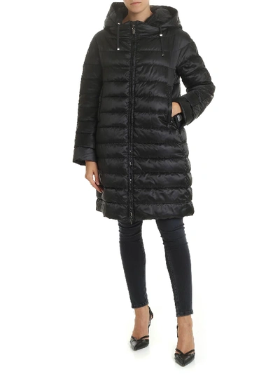 Max Mara The Cube Noveca Down Jacket In Black