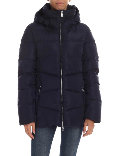 Add Blue Quilted Down Jacket