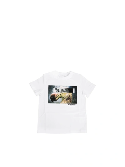 Burberry Kids' Dodo T-shirt In White