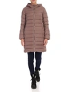 ADD ADD LONG DOWN JACKET IN MAUVE COLOR