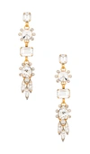 ELIZABETH COLE LILIAN EARRINGS,ELIZ-WL246