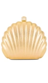 AMBER SCEATS SHELL CLUTCH,AMBE-WY17