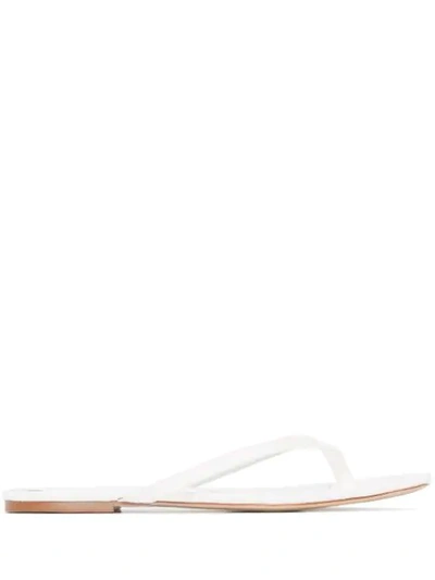 Studio Amelia 2.2 Crocodile-effect Flip-flop Sandals In White