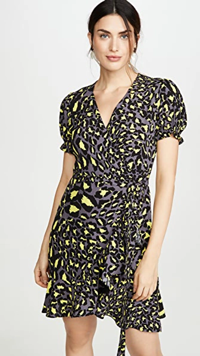 Diane Von Furstenberg Leopard Print Wrap Dress In Multicolour