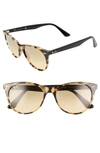 RAY BAN WAYFARER II 55MM POLARIZED PHOTOCHROMIC SUNGLASSES - YELLOW TORTOISE SOLID,RB218555-P