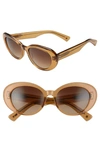 Salt Courtney 54mm Polarized Cat Eye Sunglasses In Whiskey/ Brown