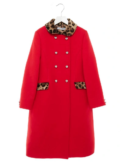 Dolce & Gabbana Kids' Leopard Print Detail Coat In Red
