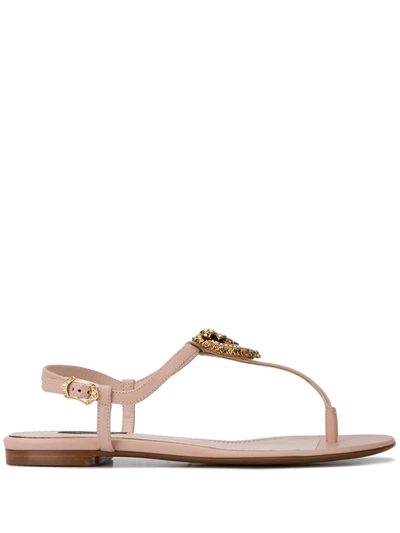 Dolce & Gabbana Leather Devotion Heart Sandals In Pink