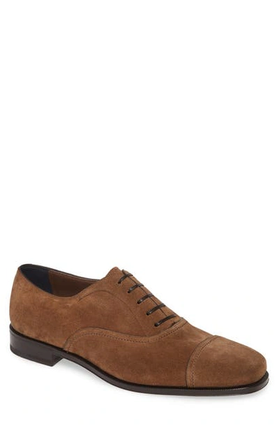 Ferragamo Cap Toe Oxford In Brown Sugar/ T Moro