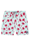 Tom & Teddy Boys' Palm Tree Swim Trunks - Little Kid, Big Kid In Ice Green/ Fuchsia