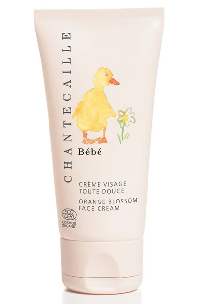 Chantecaille 1.7 Fl. Oz. Bebe Orange Blossom Face Cream In Default Title