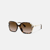 Coach Oversized Horse And Carriage Sunglasses In Dark Tortoise