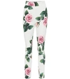DOLCE & GABBANA Floral leggings,P00442898