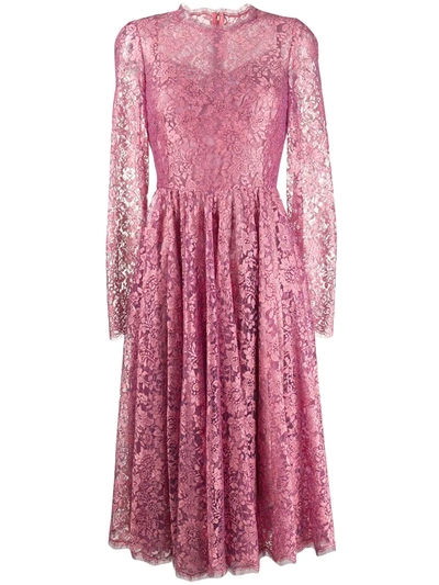 Dolce & Gabbana Lame Long Sleeve Chantilly Lace Dress In Pink,metallic