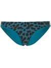 Duskii Reversible Leopard-print Bikini Bottoms In Green