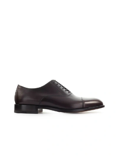 Moreschi Lipsia Black Buffalo Leather Derby Shoes In Brown