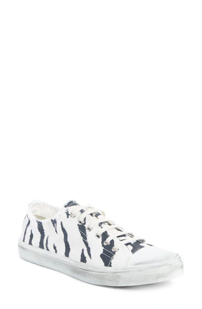 Saint Laurent Bedford Zebra-stripe Distressed Canvas Sneakers In Bianconero
