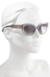 Versace 54mm Cat Eye Sunglasses In Transparent Grey/ Grey